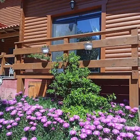 The Apartament