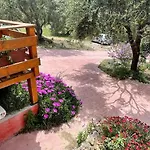 The * Mesongí