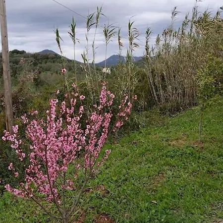 The Διαμέρισμα *