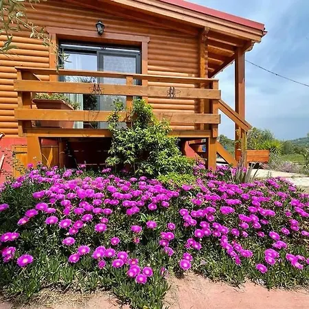 The Διαμέρισμα