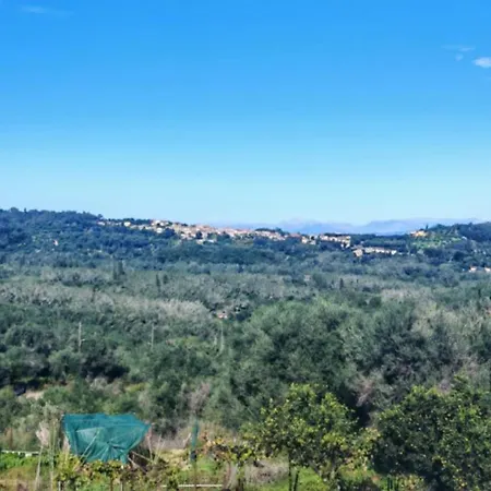 The Corfu 公寓 *