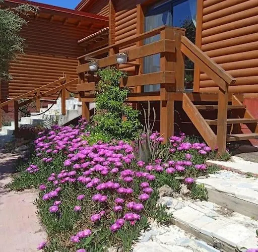 The Appartement *