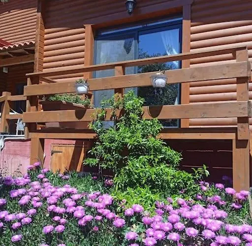 The Appartement