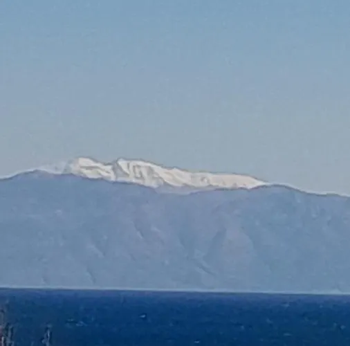 The