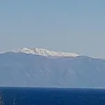 The