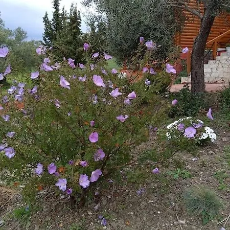 The Corfu アパート Mesongí