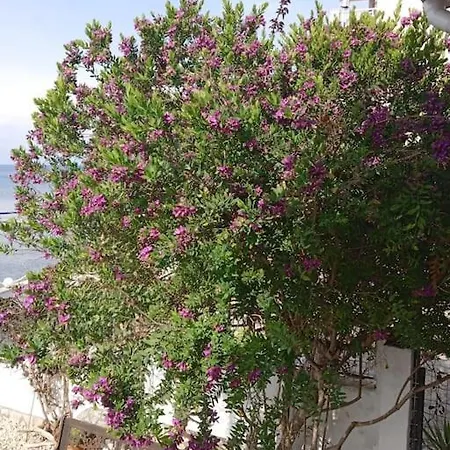 The Corfu *