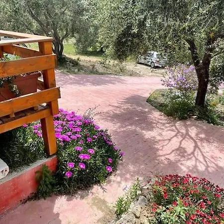 The Corfu * Mesongí
