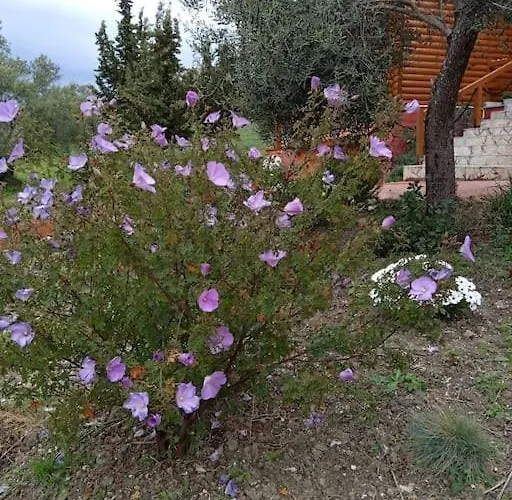 The Appartamento Mesongí