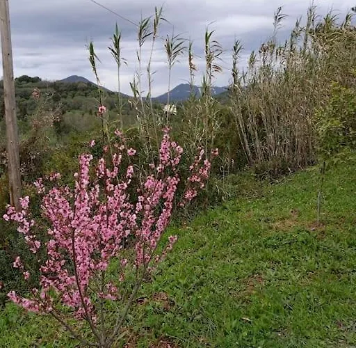 The Appartamento *
