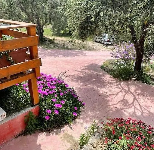 The * Mesongí